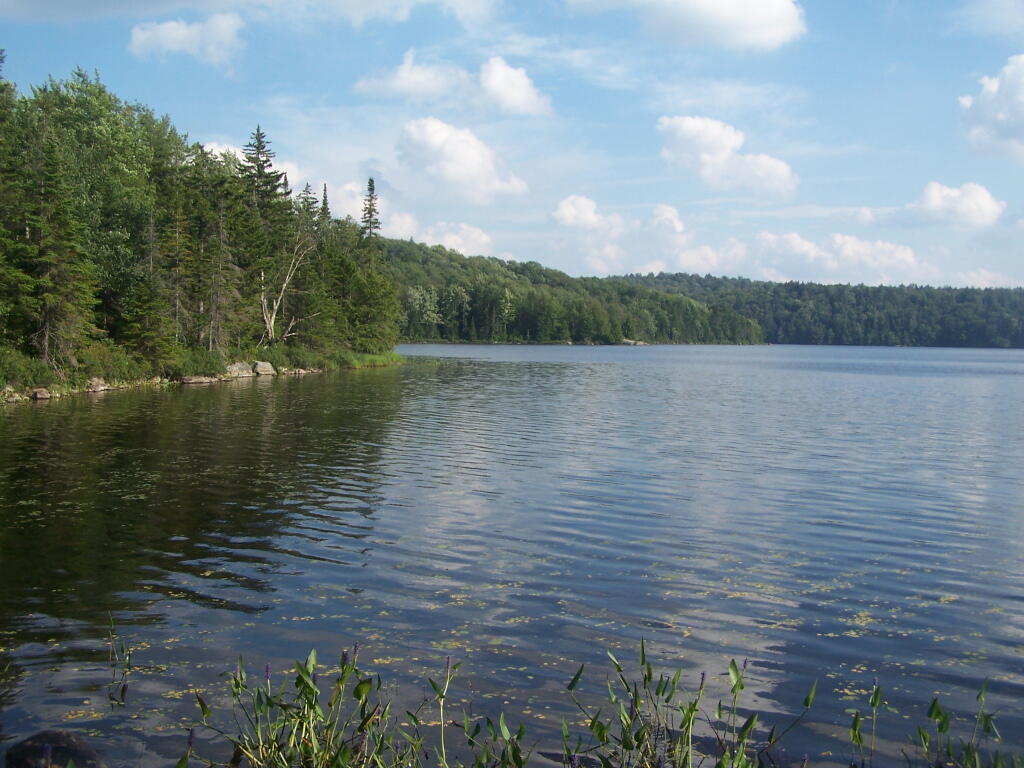Photo: Sand Lake