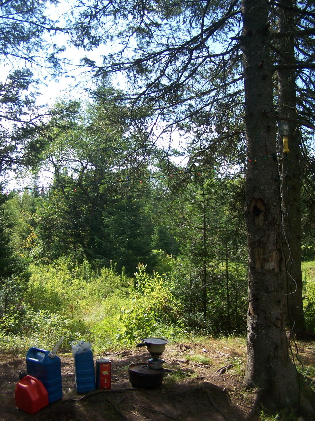 Photo: Cooking Breakfast