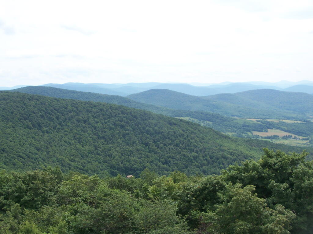Photo: South Western Catskills