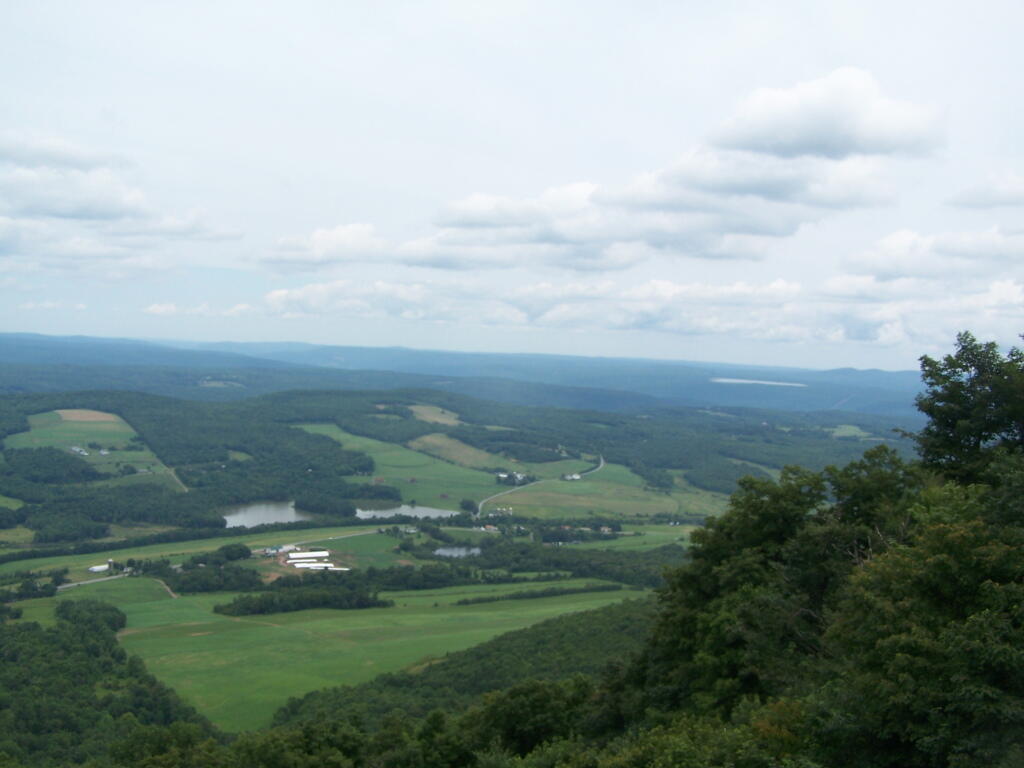 Photo: North East Photo: North East