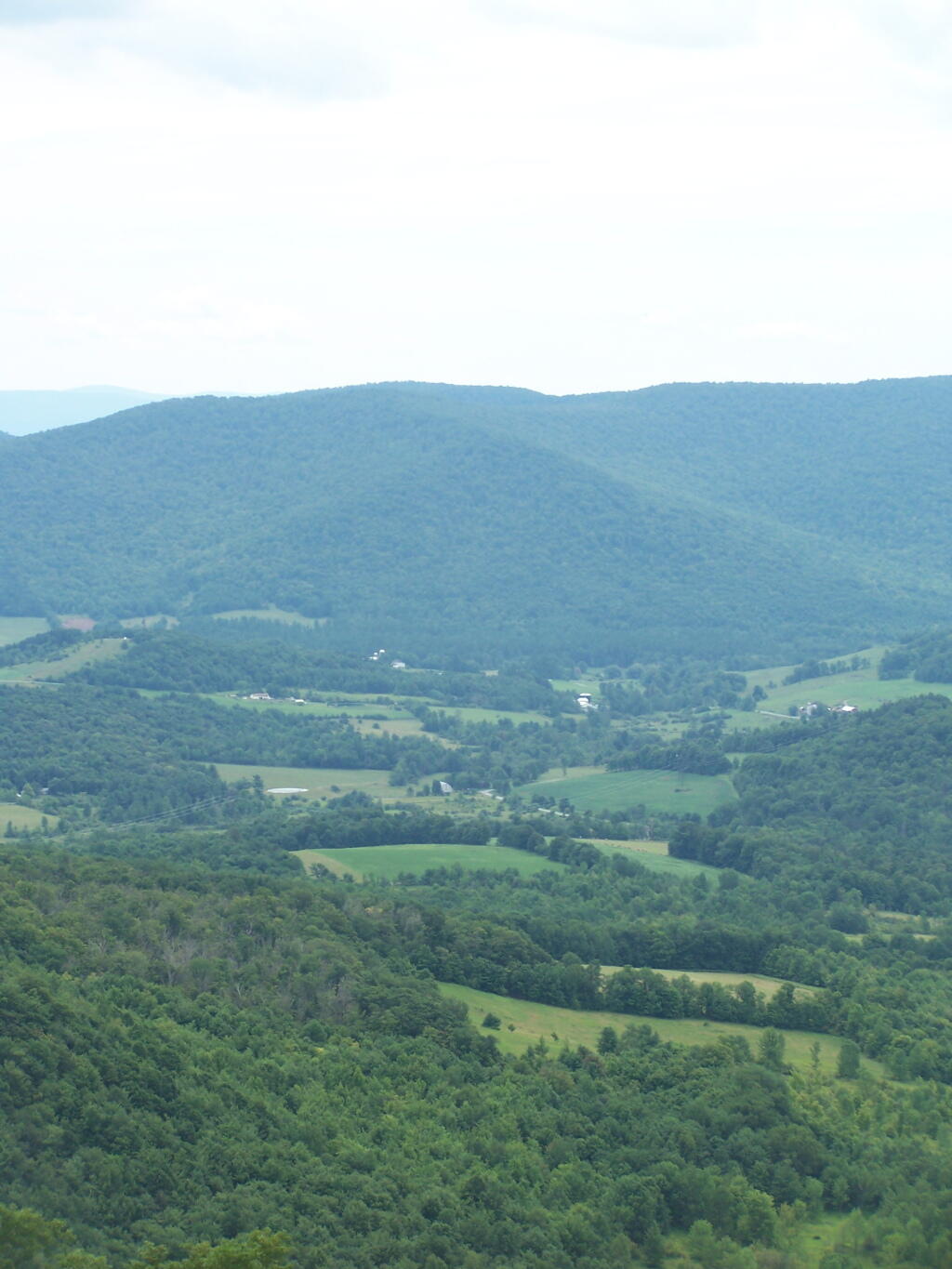 Photo: Farms Cut Into the Tree Cover