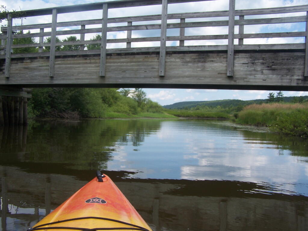Photo: Heading Under Horse Trail 60 Bridge Photo: Heading Under Horse Trail 60 Bridge
