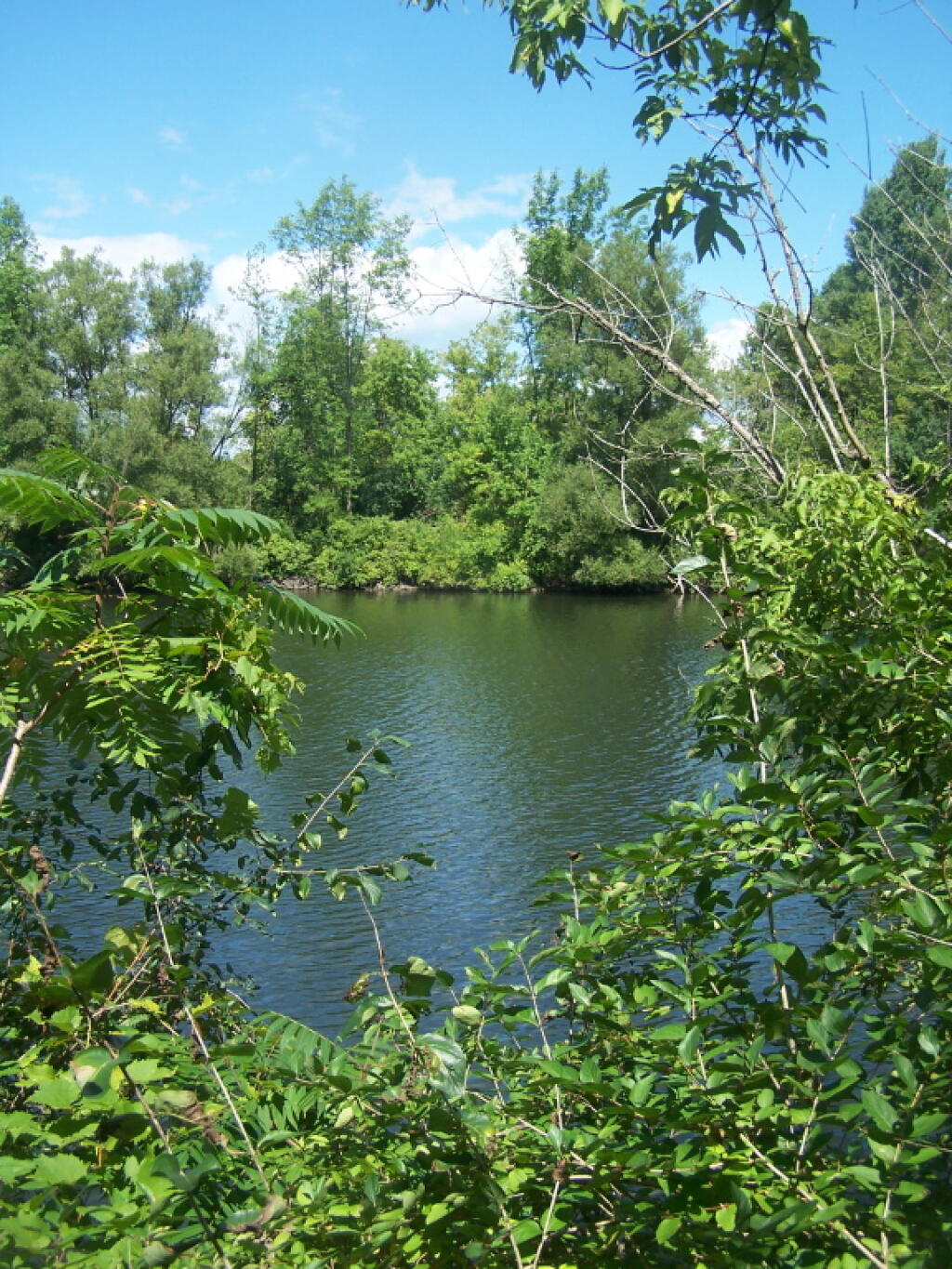Photo: Canal Photo: Canal