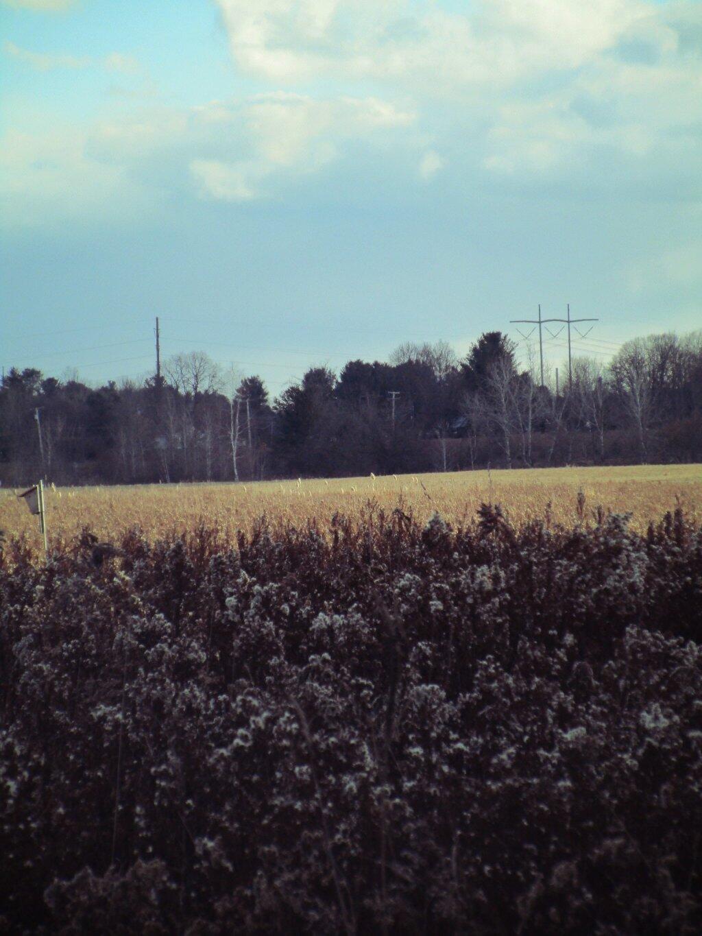 Photo: Field