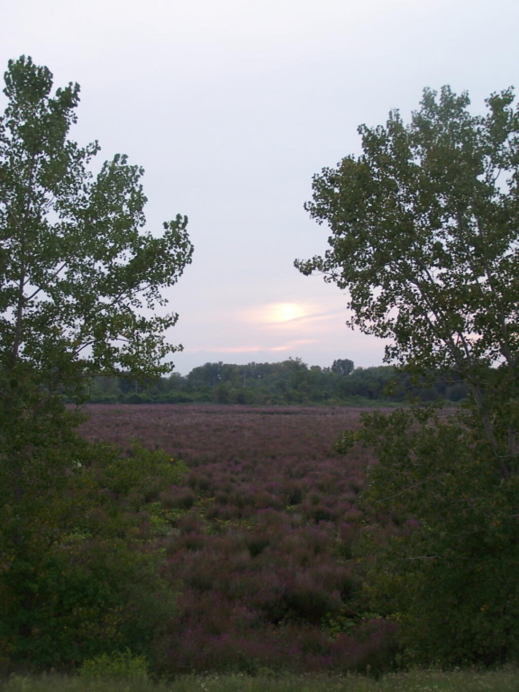 Photo: Setting Sun Photo: Setting Sun