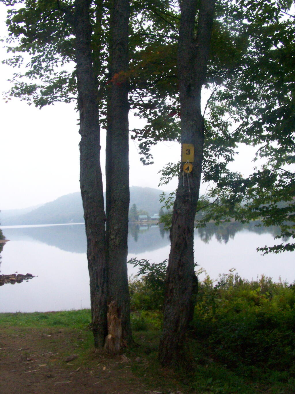 Photo: Campsite 3 on the Lake