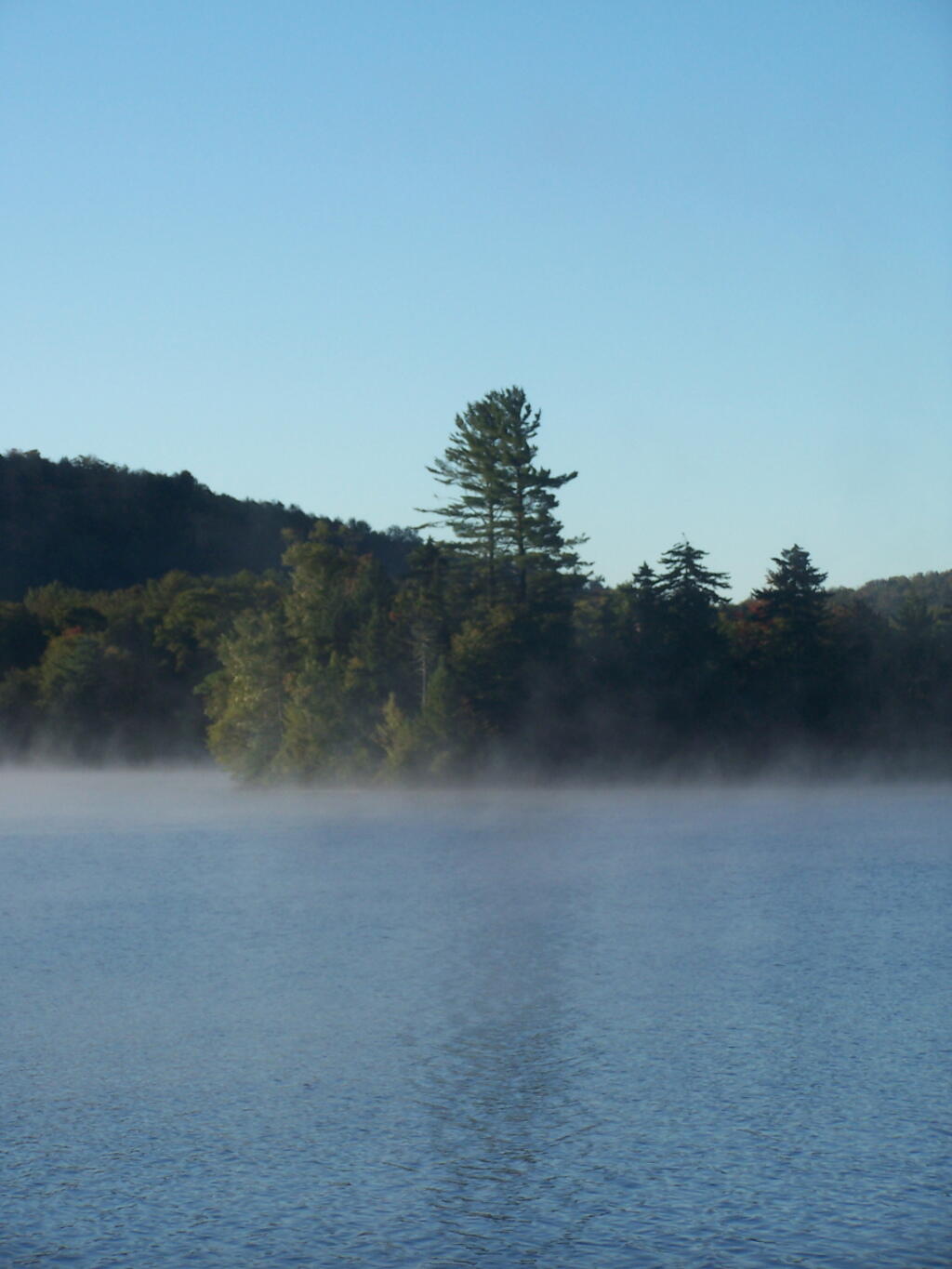 Photo: Rising Fog
