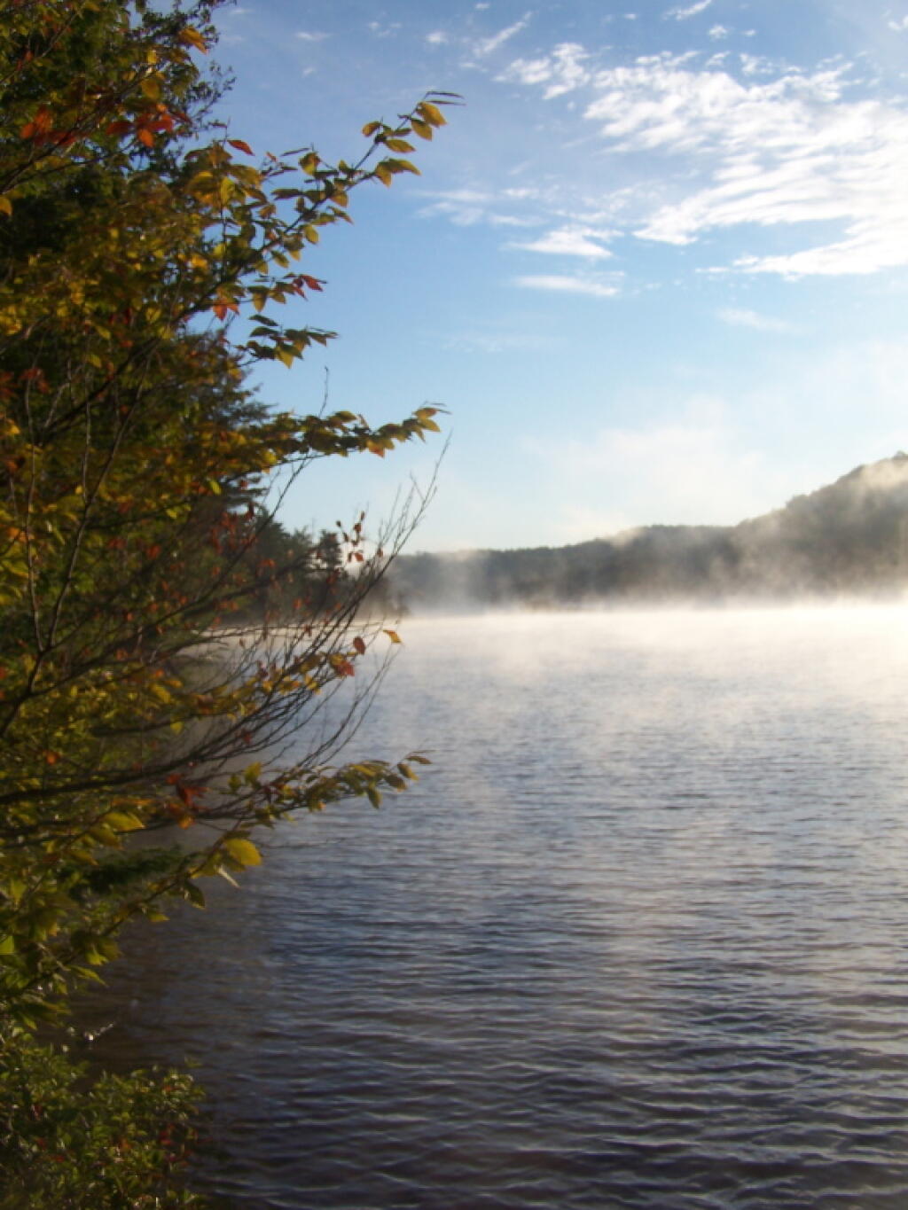 Photo: Clearing Fog on Edge of Lake