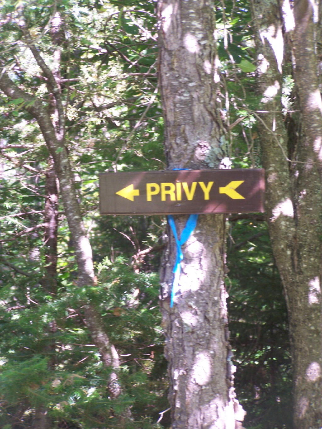 Photo: Privy Sign