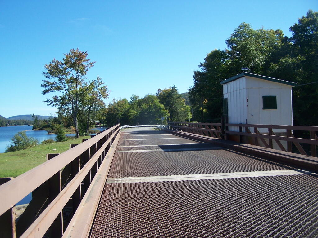 Photo: Steel Deck Bridge Over the Black River