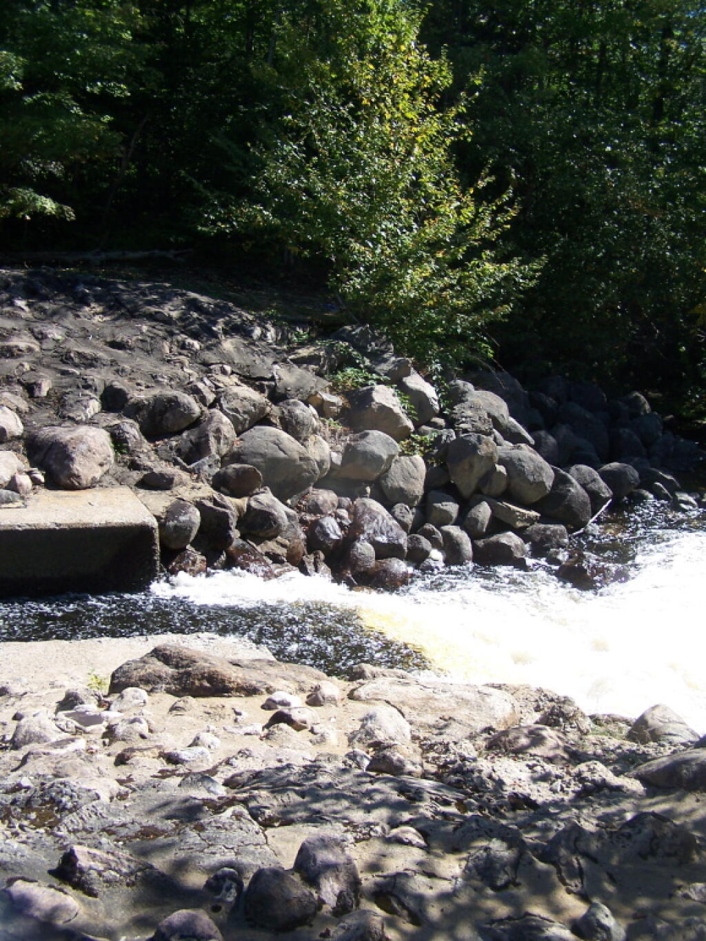 Photo: Outflow Into Black River