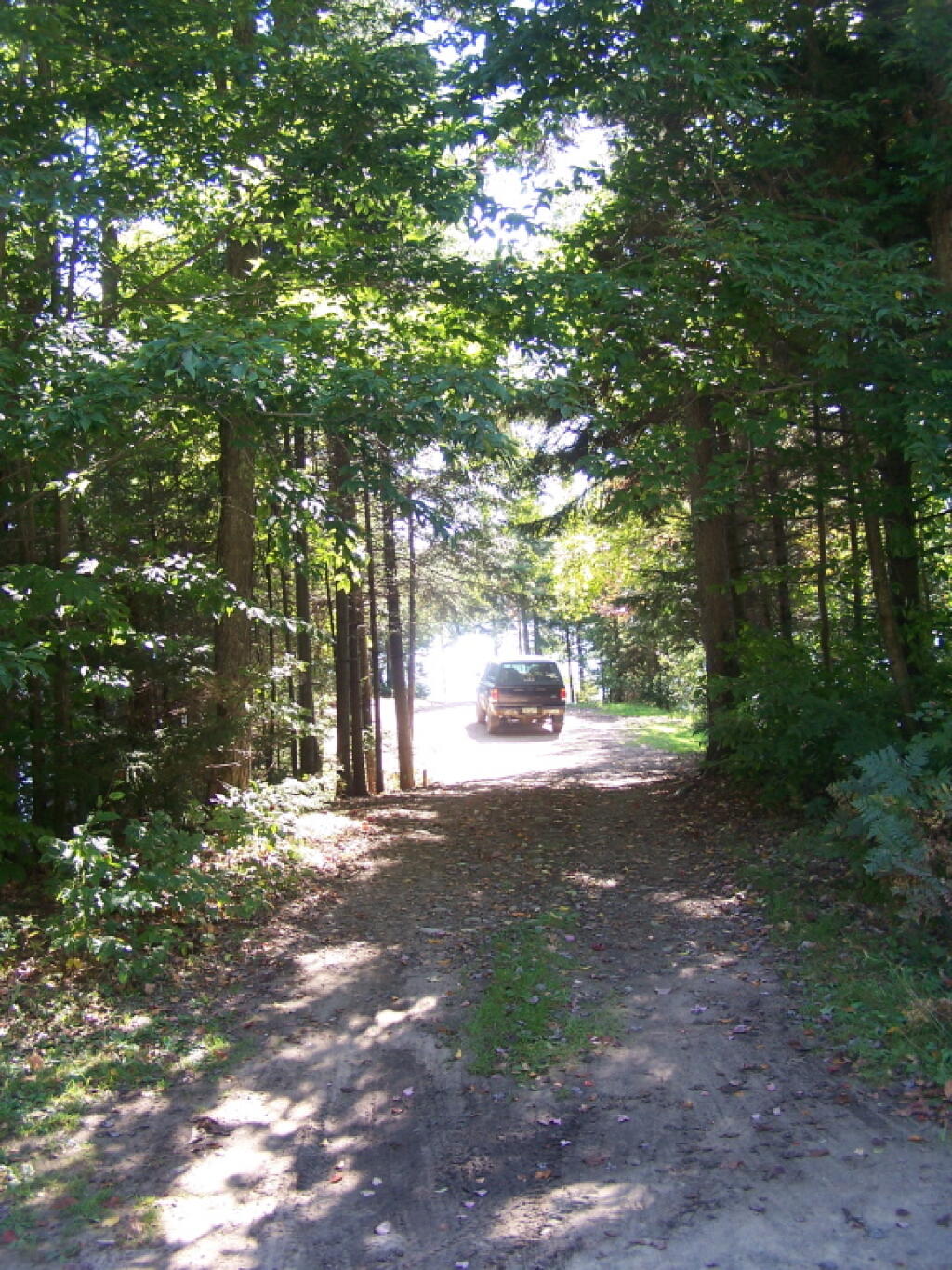 Photo: Road to Peninsula Campsite