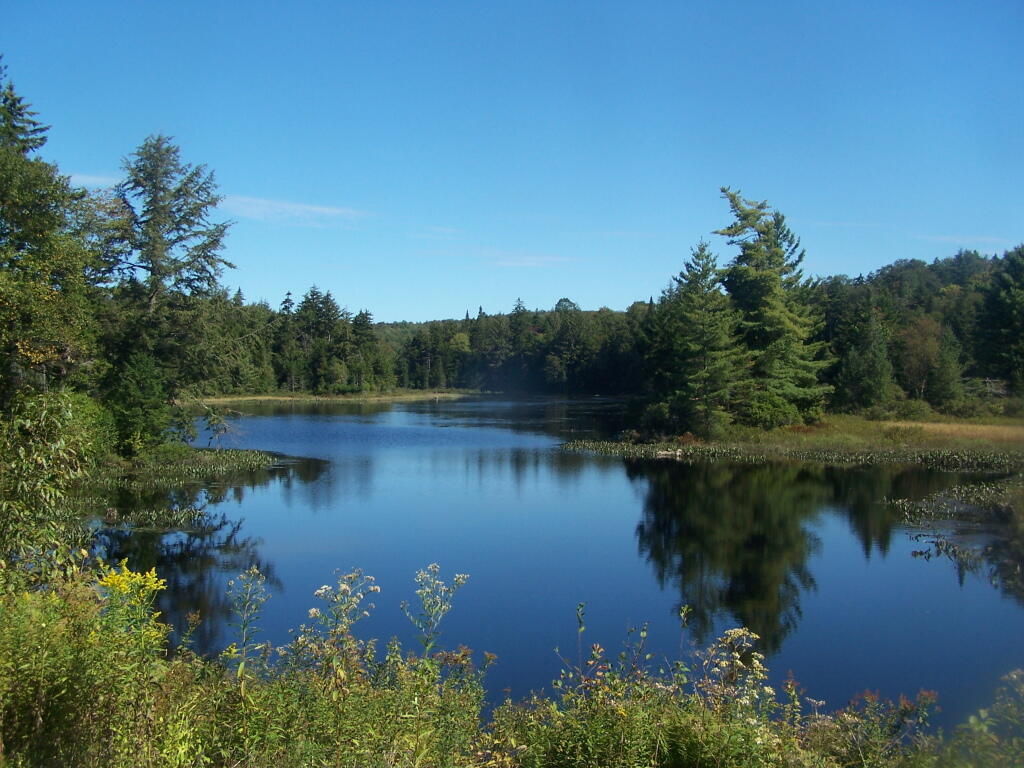 Photo: Reeds Pond