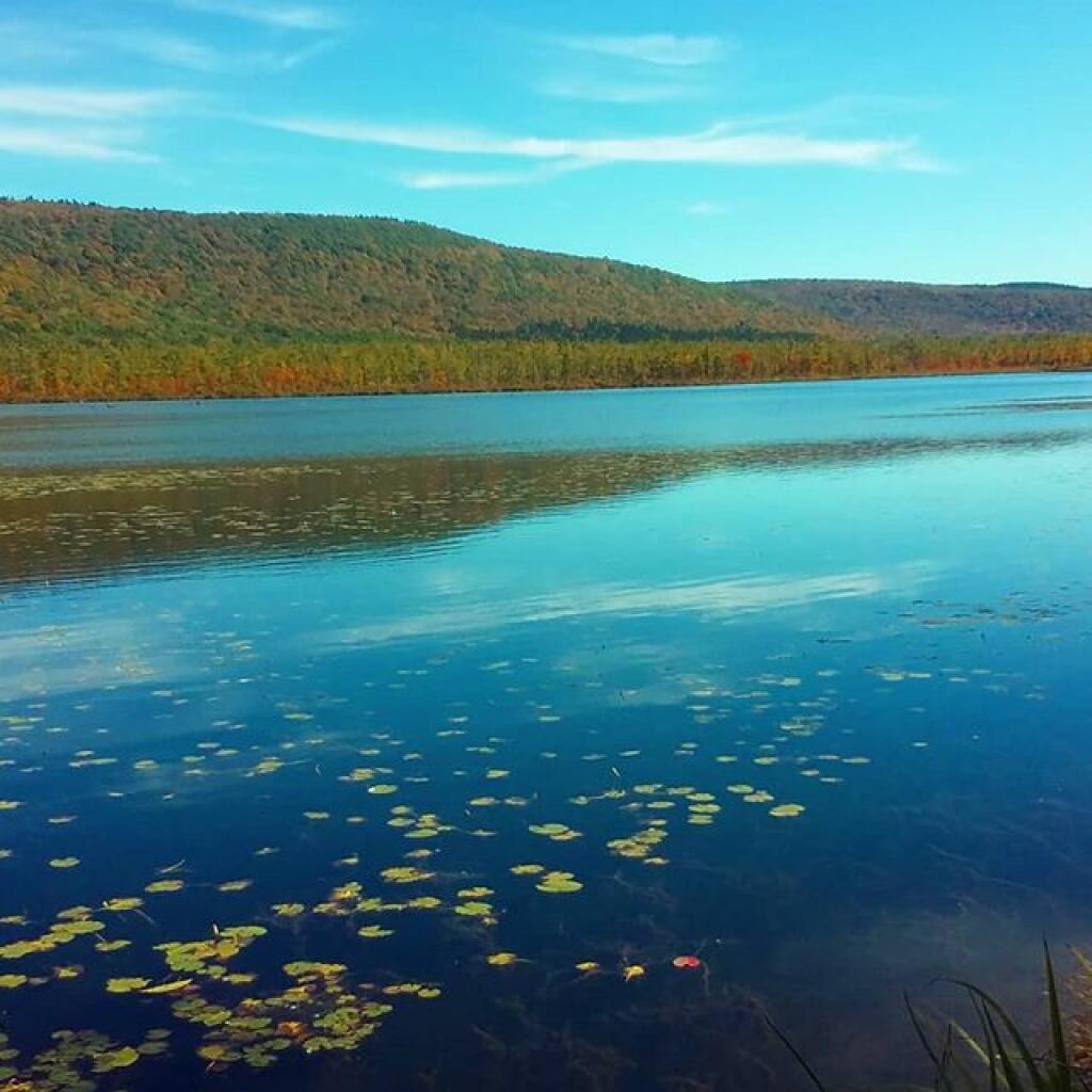 Photo: Labrador Pond