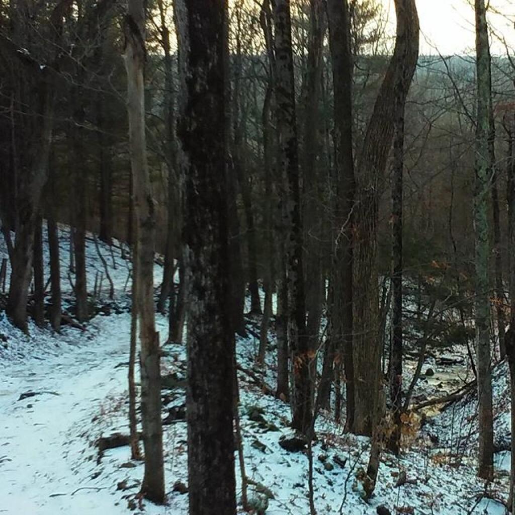 Photo: Gully
