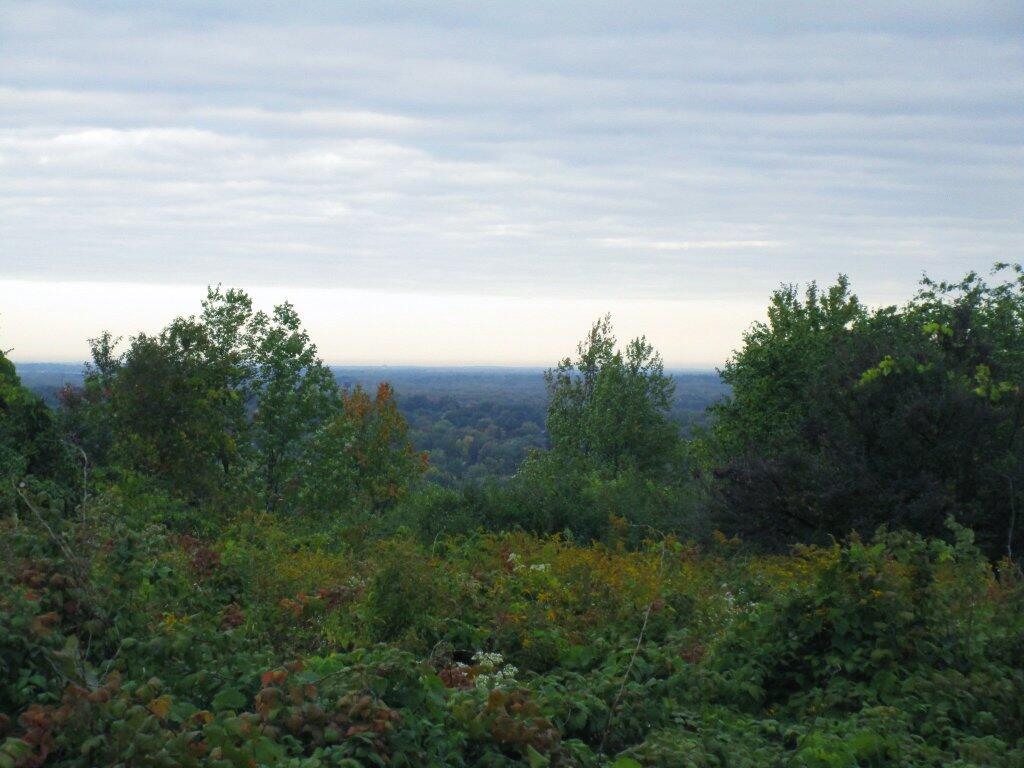 Photo: Clearing