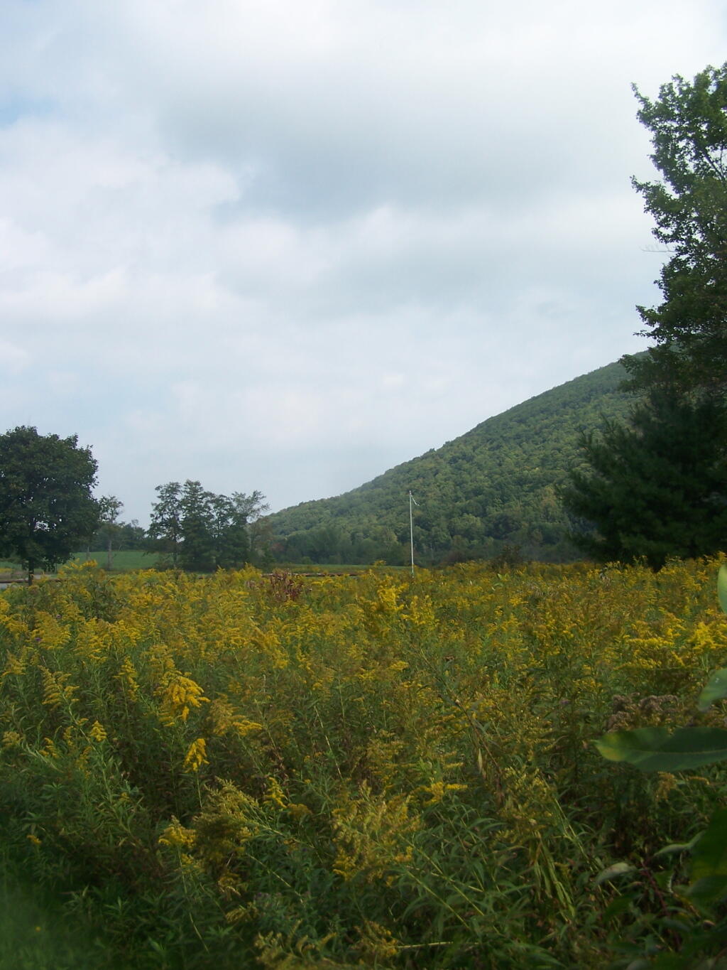 Photo: Jones Hill Photo: Jones Hill