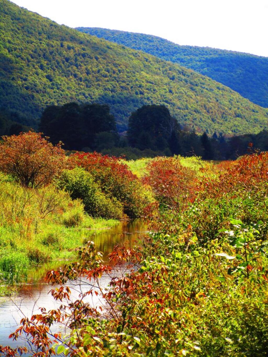 Photo: Schultice Mountain and the East Branch