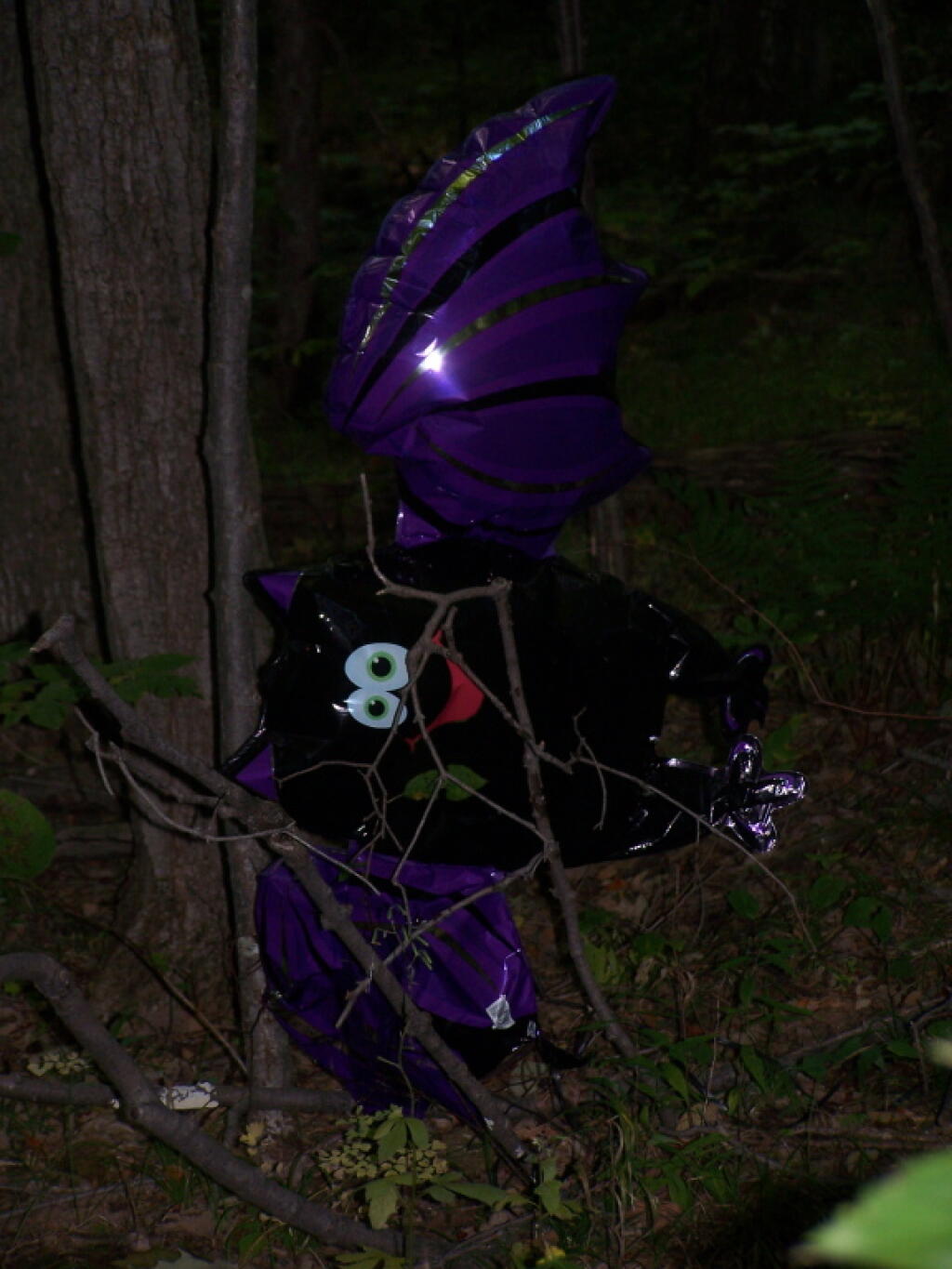 Photo: Metallic Bat