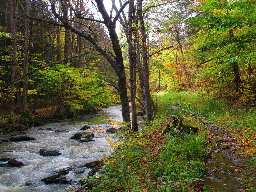 Photo: Along Old Partridge Run Road
