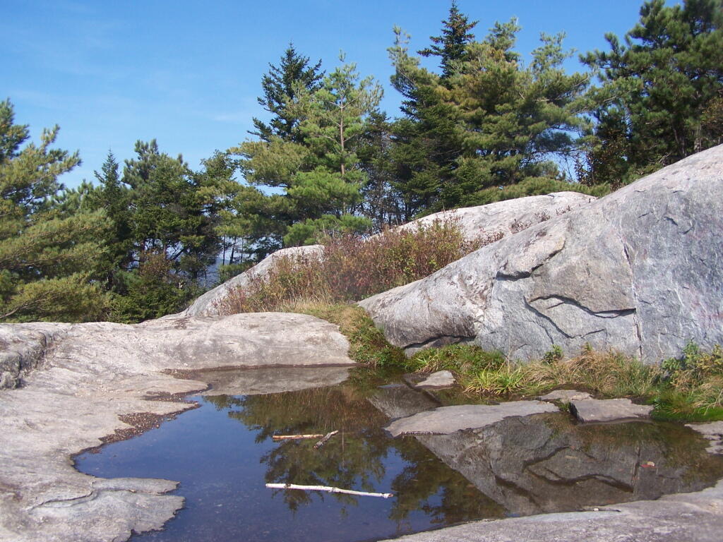 Photo: Puddle on Summit Photo: Puddle on Summit