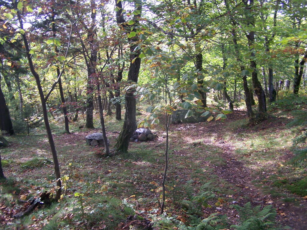 Photo: Informal Campsite on Buck Photo: Informal Campsite on Buck