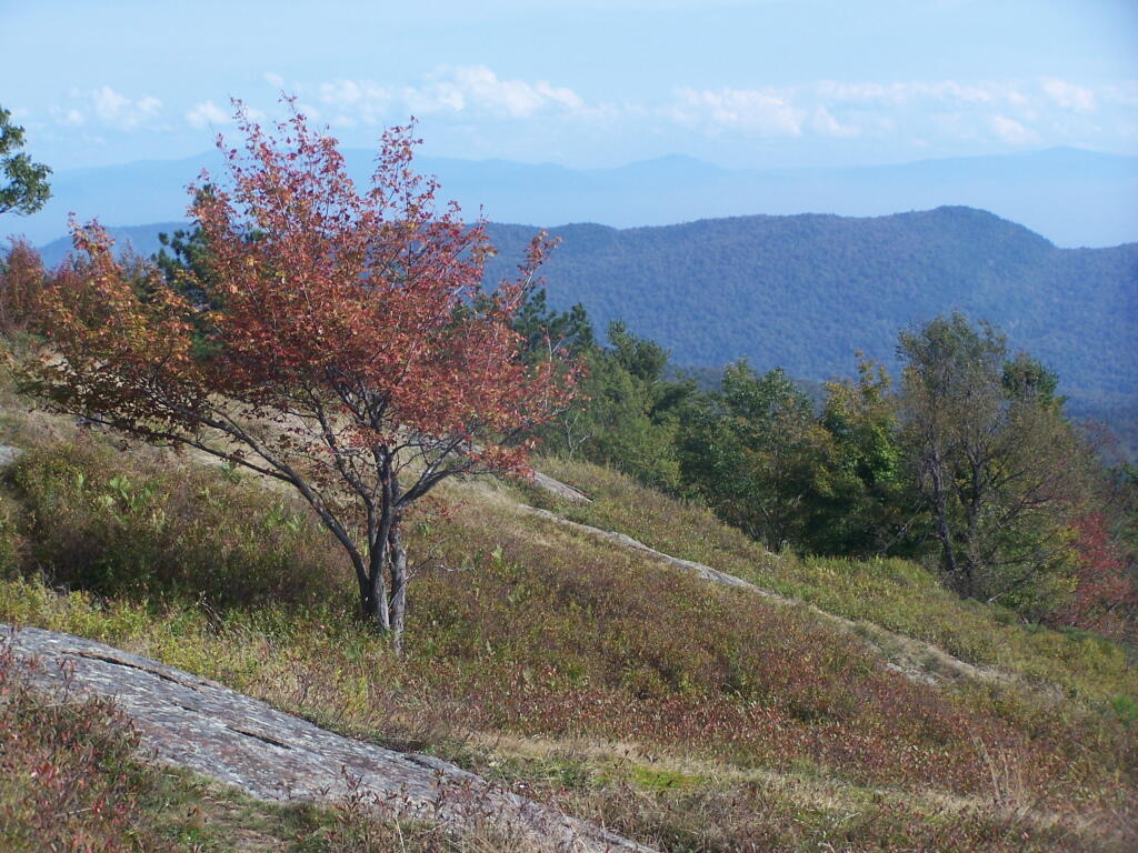 Photo: Escarpment Photo: Escarpment