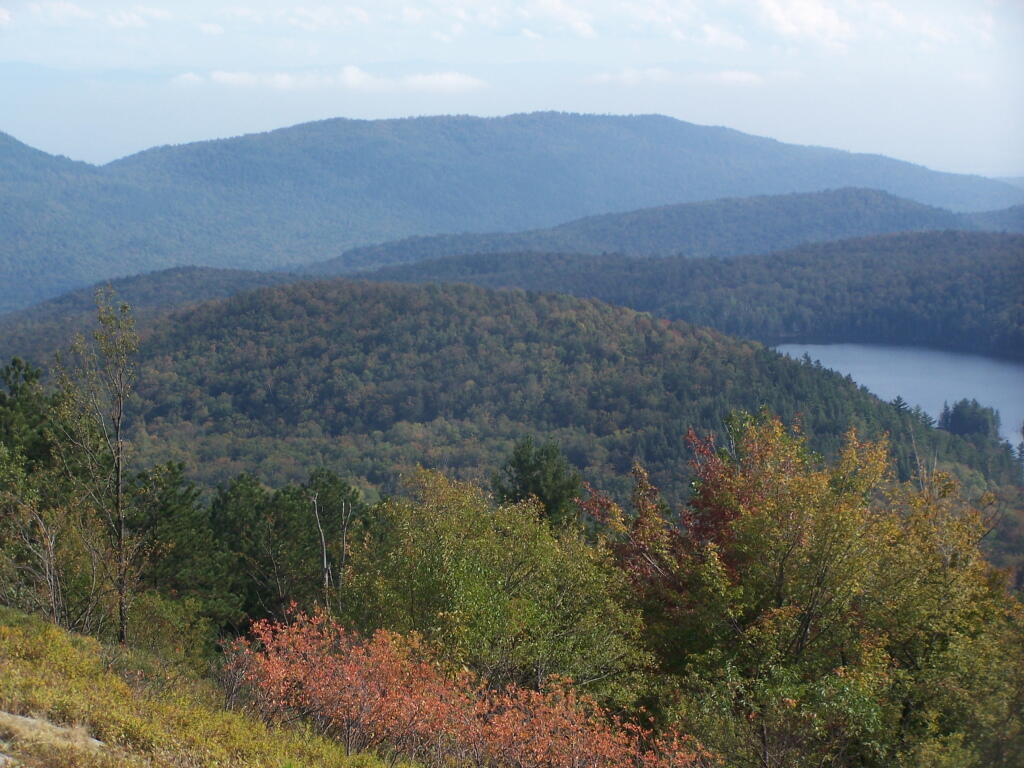 Photo: More Hints of Fall Photo: More Hints of Fall
