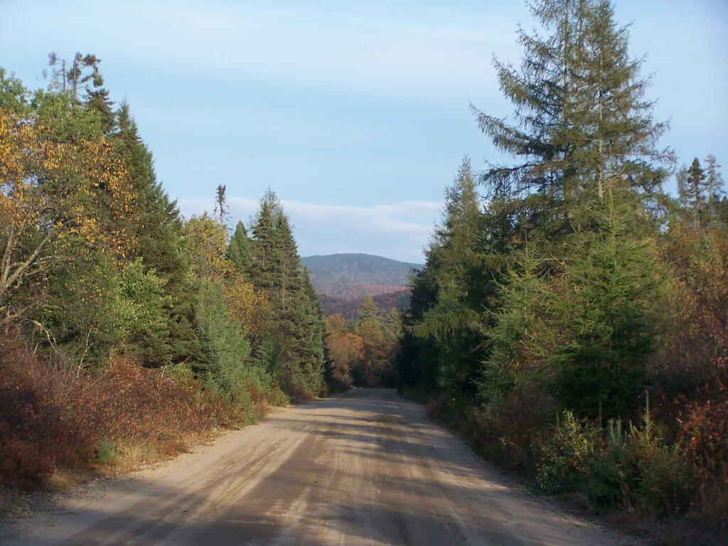 Photo: Moose River Road in the Plains
