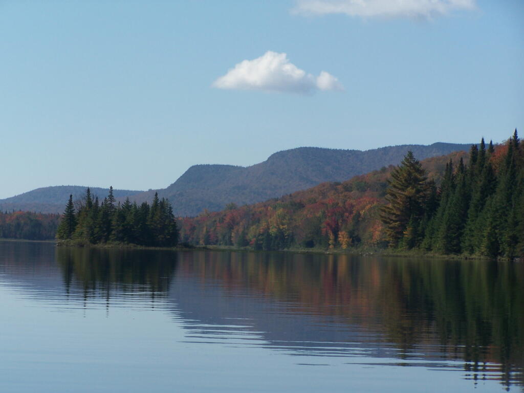 Photo: Sturges Hills