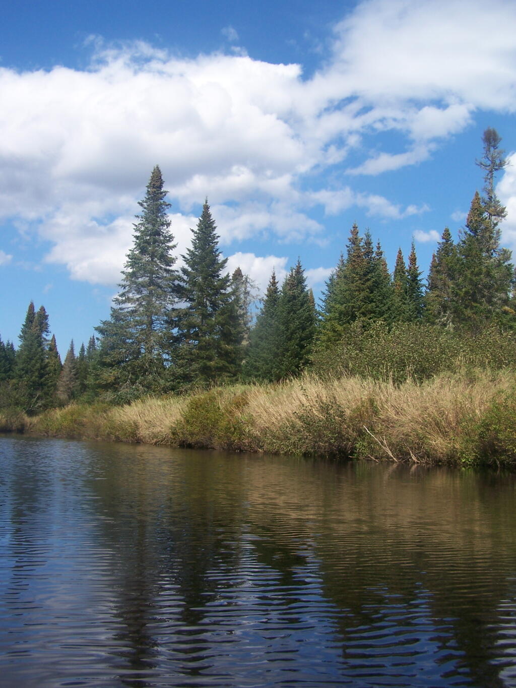 Photo: On the River