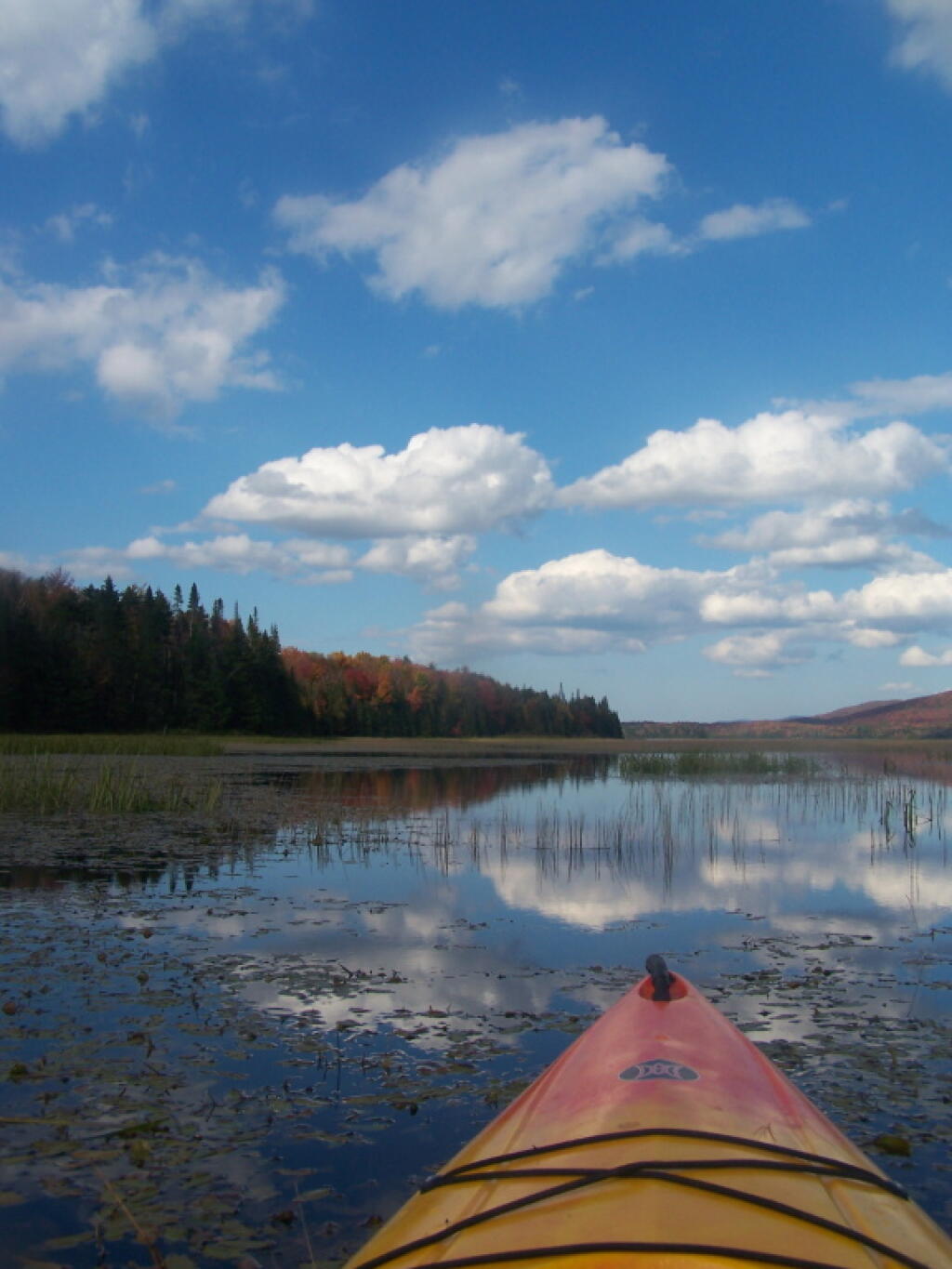 Photo: Heading North