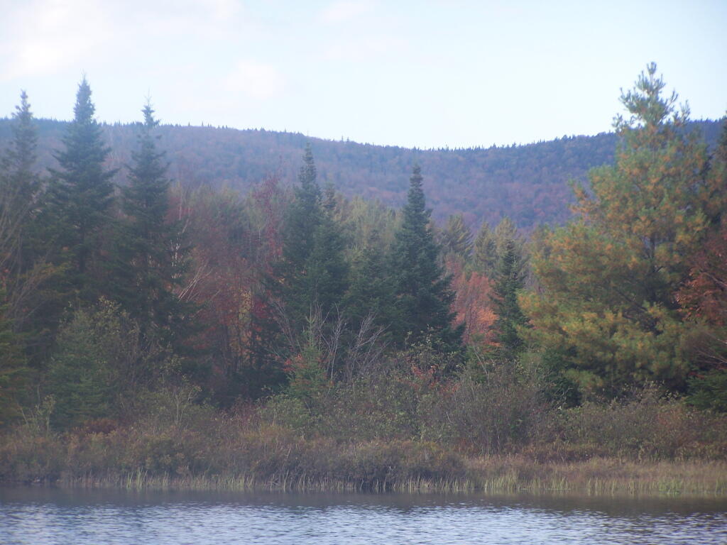 Photo: Along the Lake