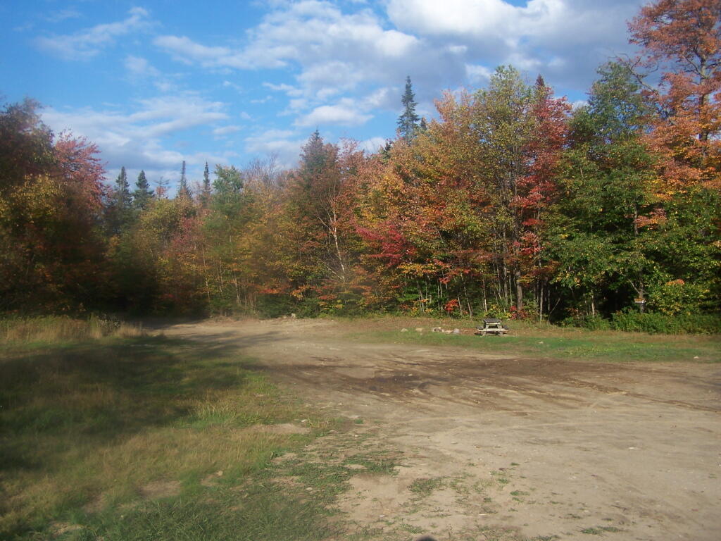 Photo: Campsite 7 at Wakely Dam