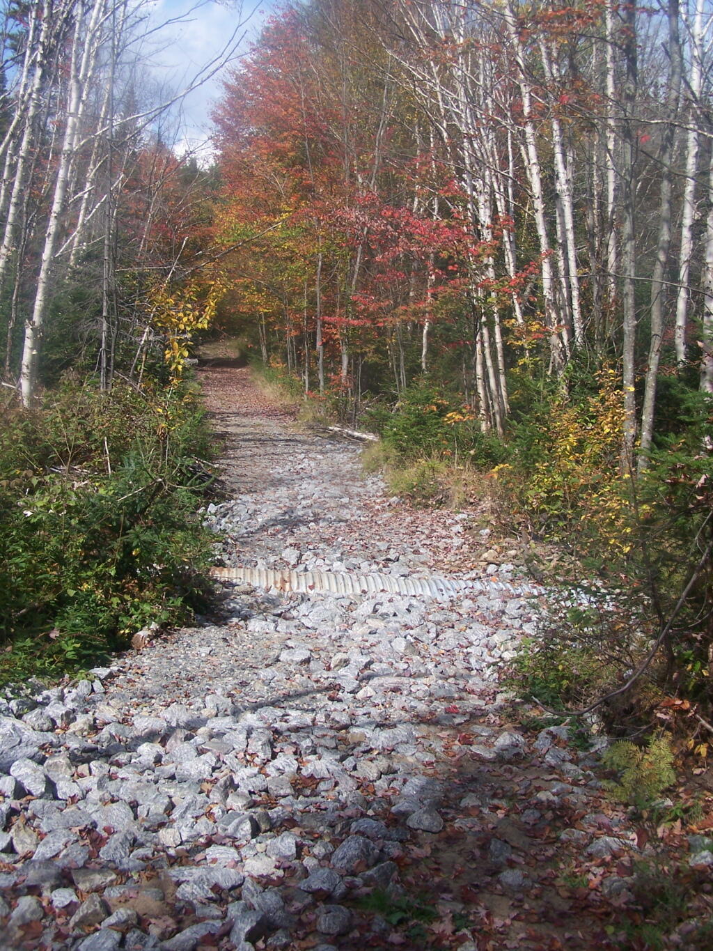 Photo: Filled in Washout on Wakely Mountain Road