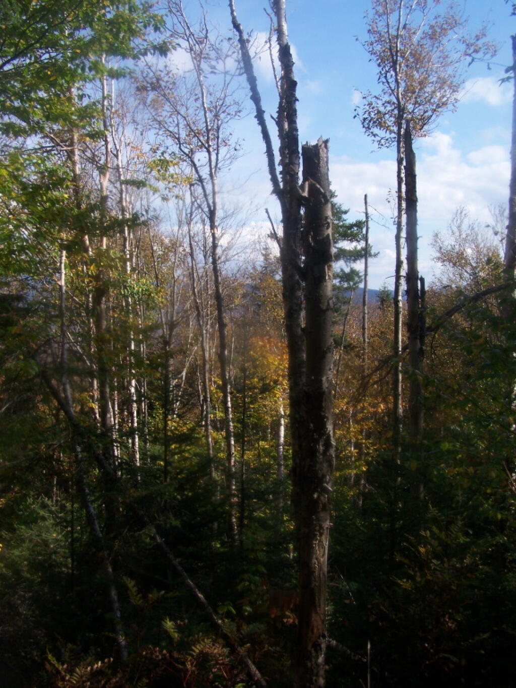 Photo: Peering Out Into the Valley