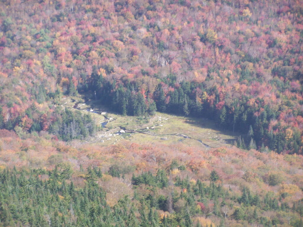 Photo: Swamp at Base of Wakely Mountain (Looking Down)