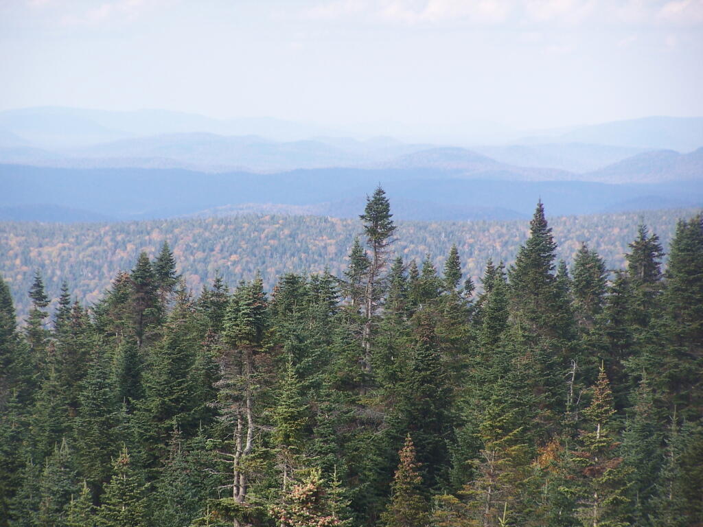 Photo: Blue Ridge Wilderness