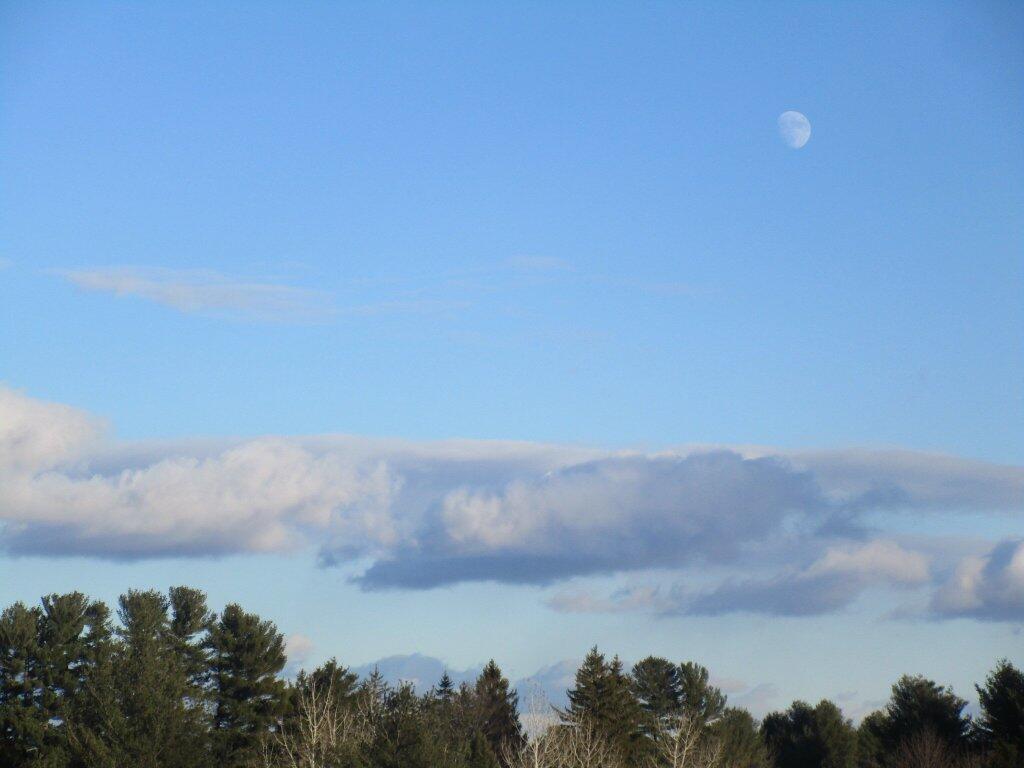 Photo: Moon