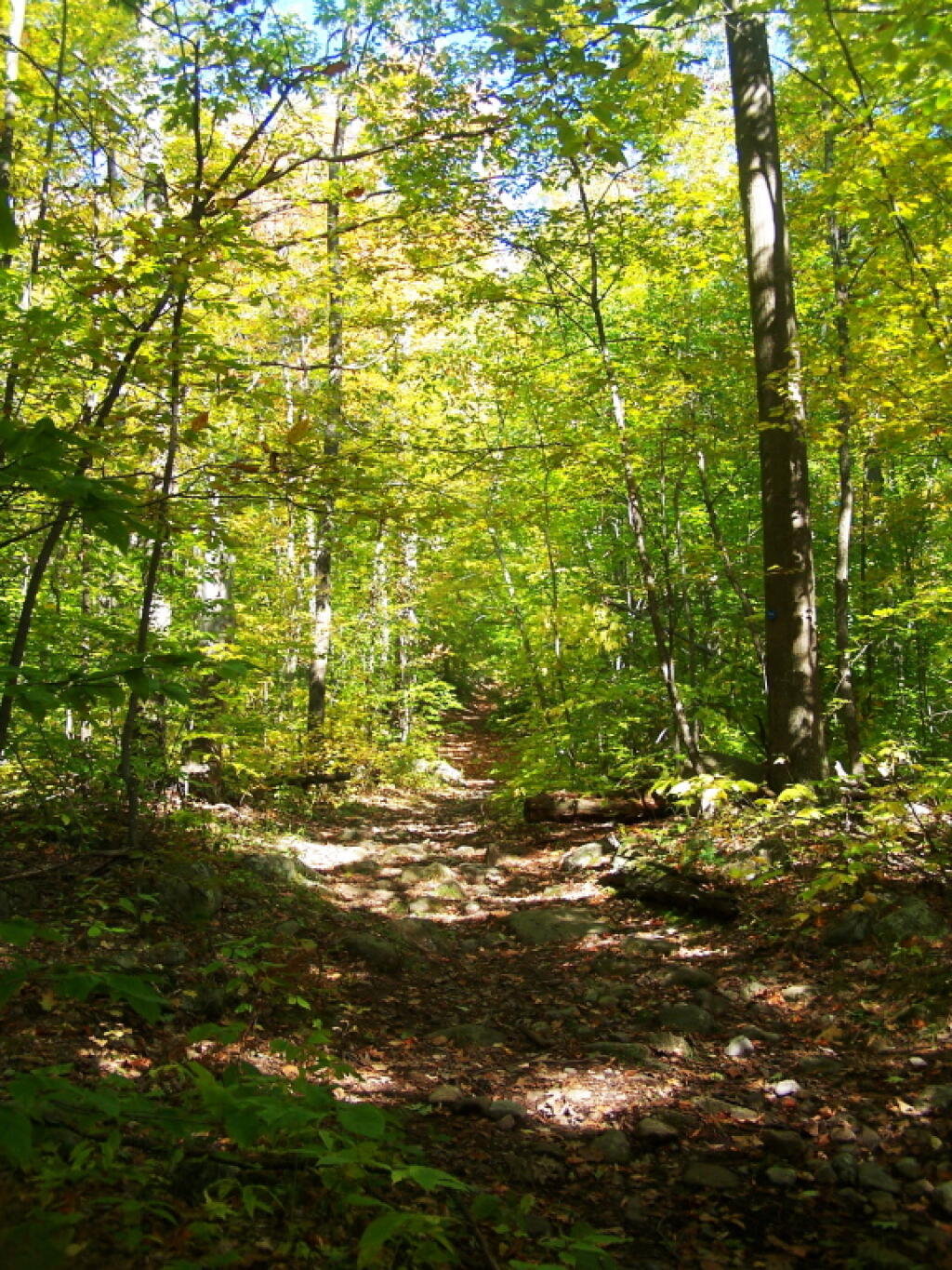 Photo: Starting Up the Trail