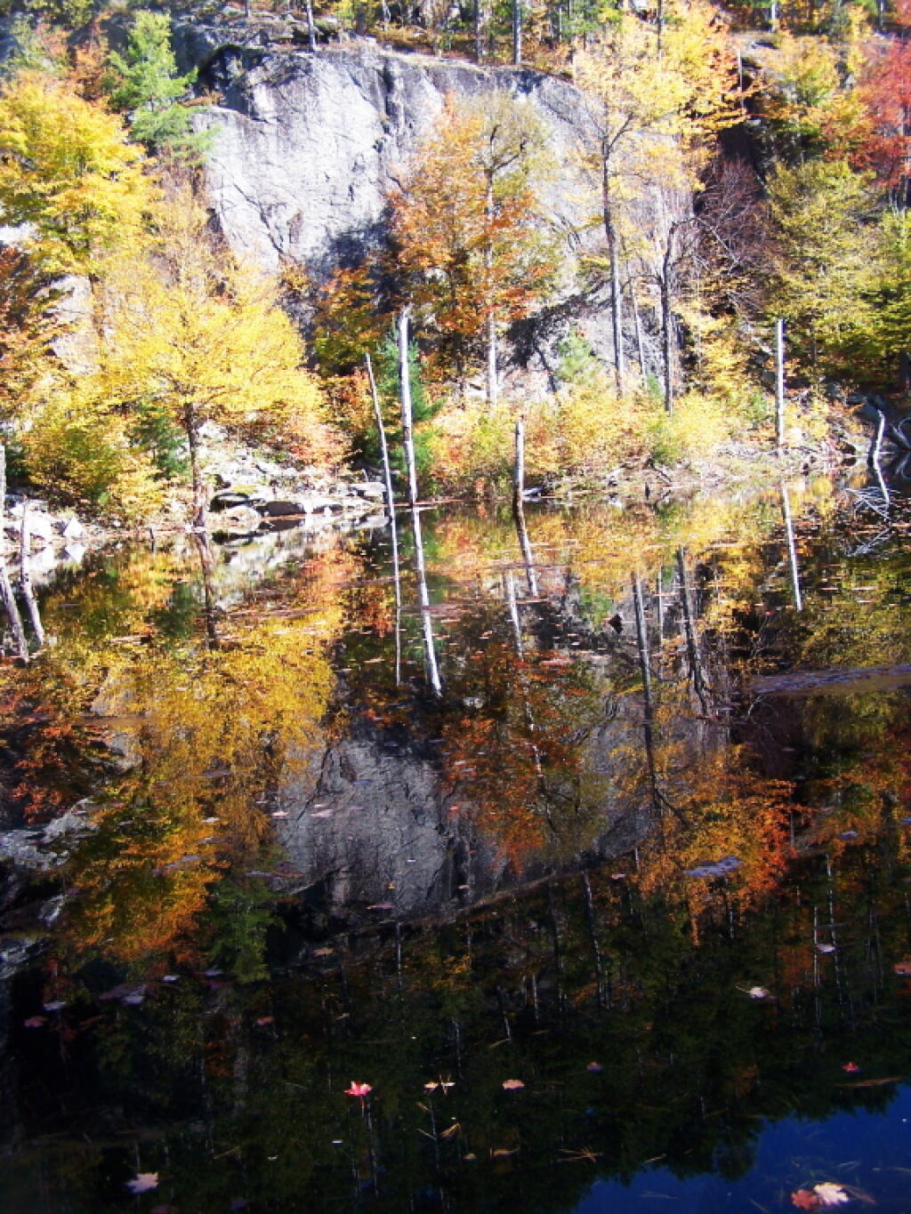 Photo: Blackwater Reflection Photo: Blackwater Reflection