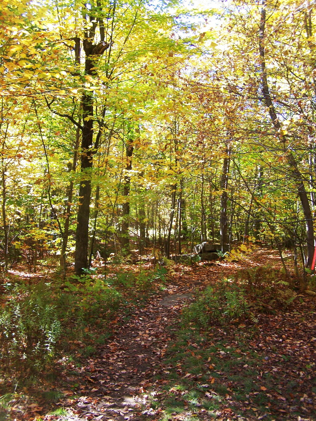 Photo: Trail Photo: Trail