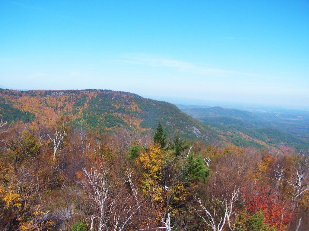 Photo: McGuire Mountain