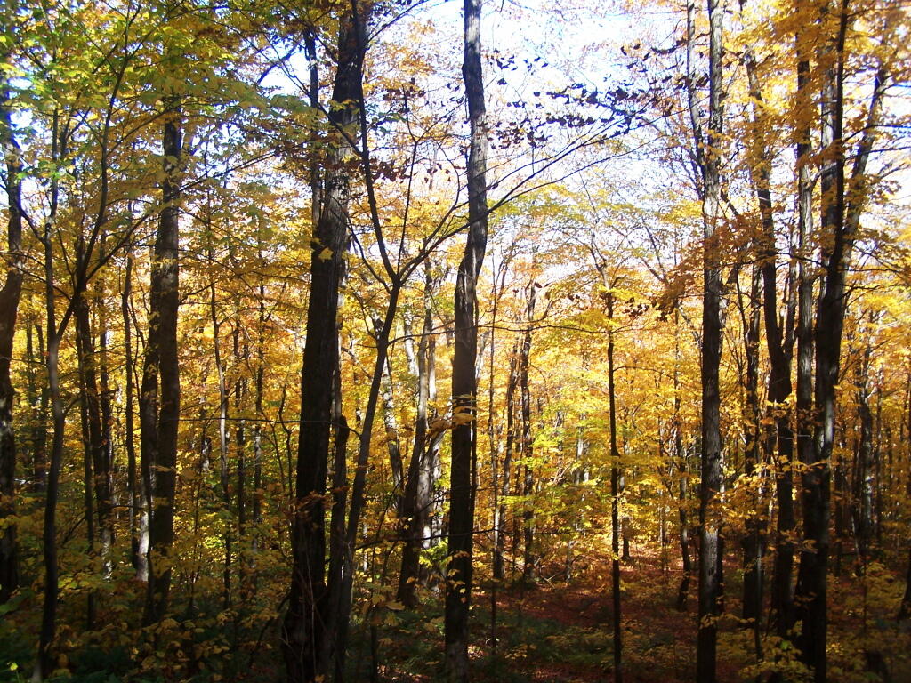 Photo: Peering Into the Valley
