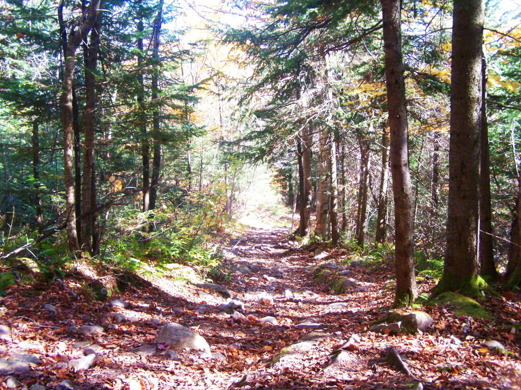 Photo: On the Old Trail