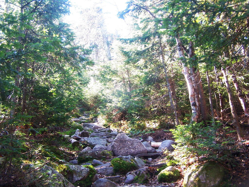 Photo: Steep and Eroded Old Trail