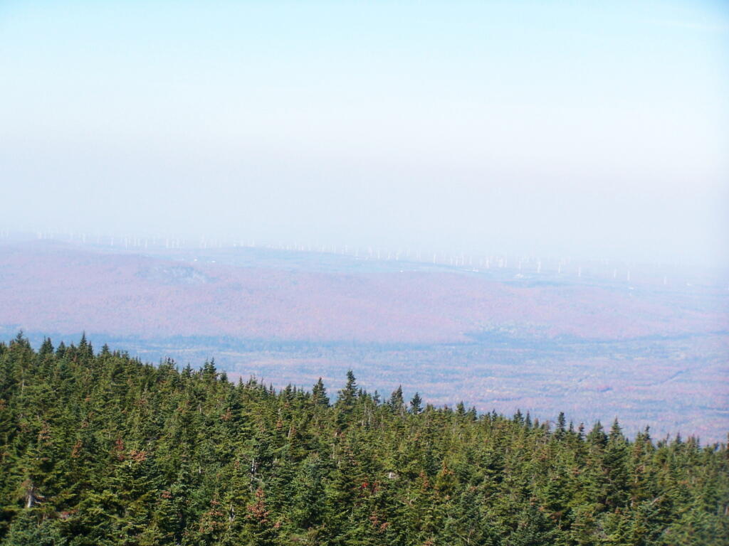 Photo: North from Firetower