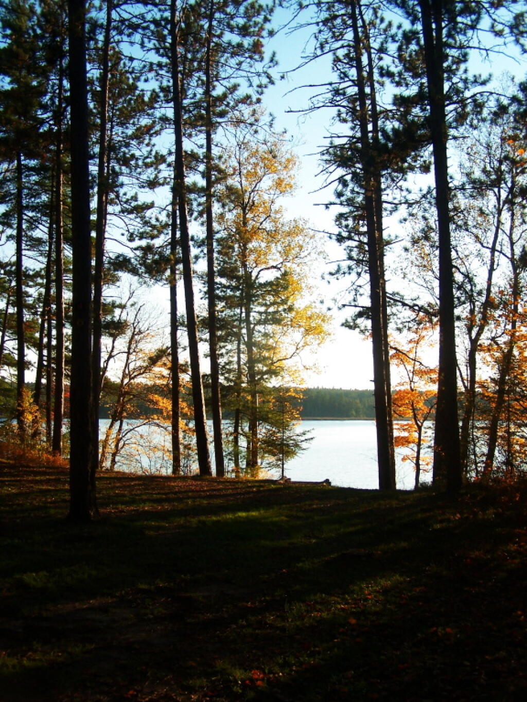 Photo: Evening Photo: Evening