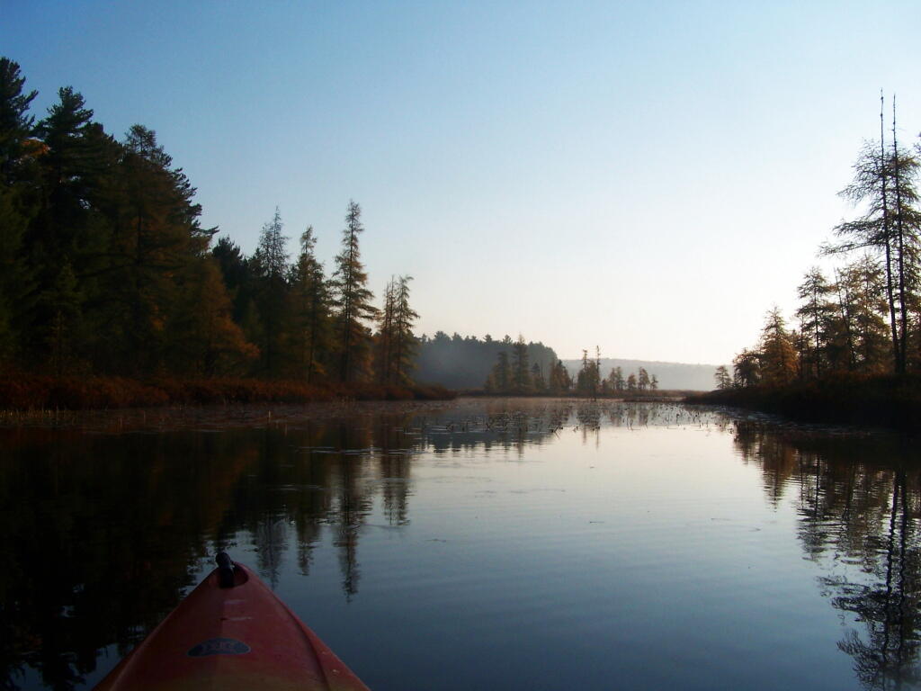 Photo: Back to Jones Pond Photo: Back to Jones Pond