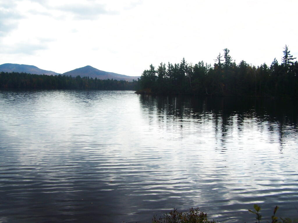Photo: South Along Lake Kushaqua